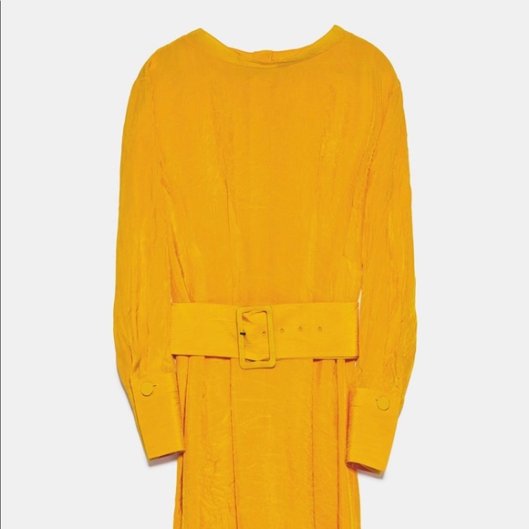 Zara Belted Midi Dress - Picture 7 of 7